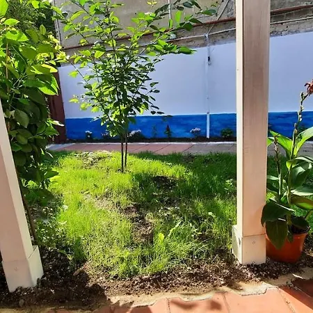 Apartment Casa Agriselor
